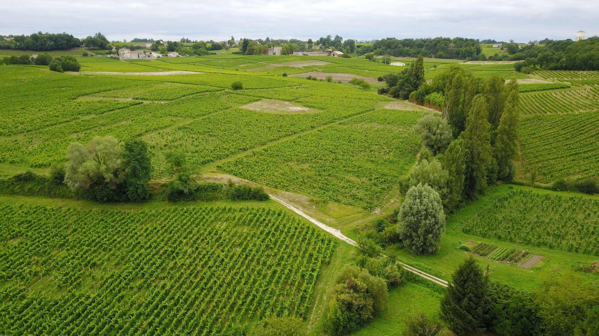 La Closerie De Fronsac Saint-Michel-de-Fronsac Eksteriør billede